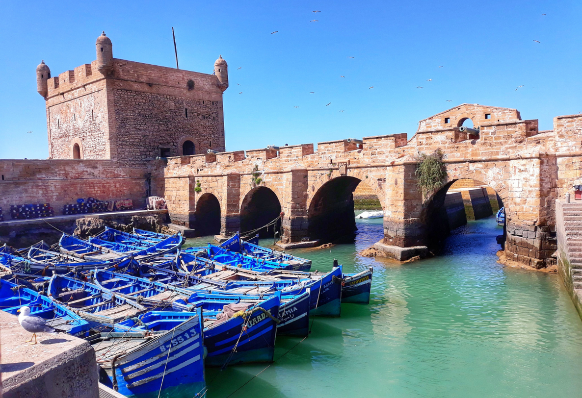 Essaouira day trip from Marrakech - Coastal city and historic medina