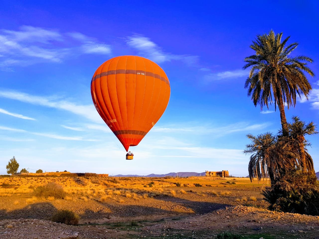 Hot-air balloon flight over Marrakech at sunrise